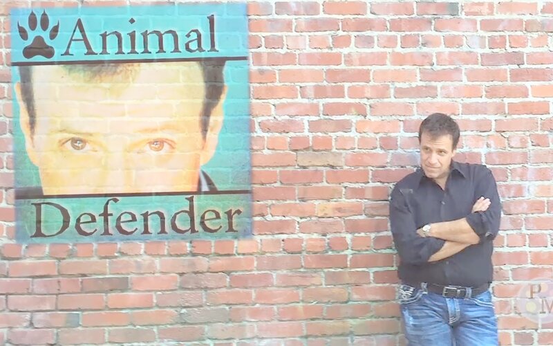 Animal Defender